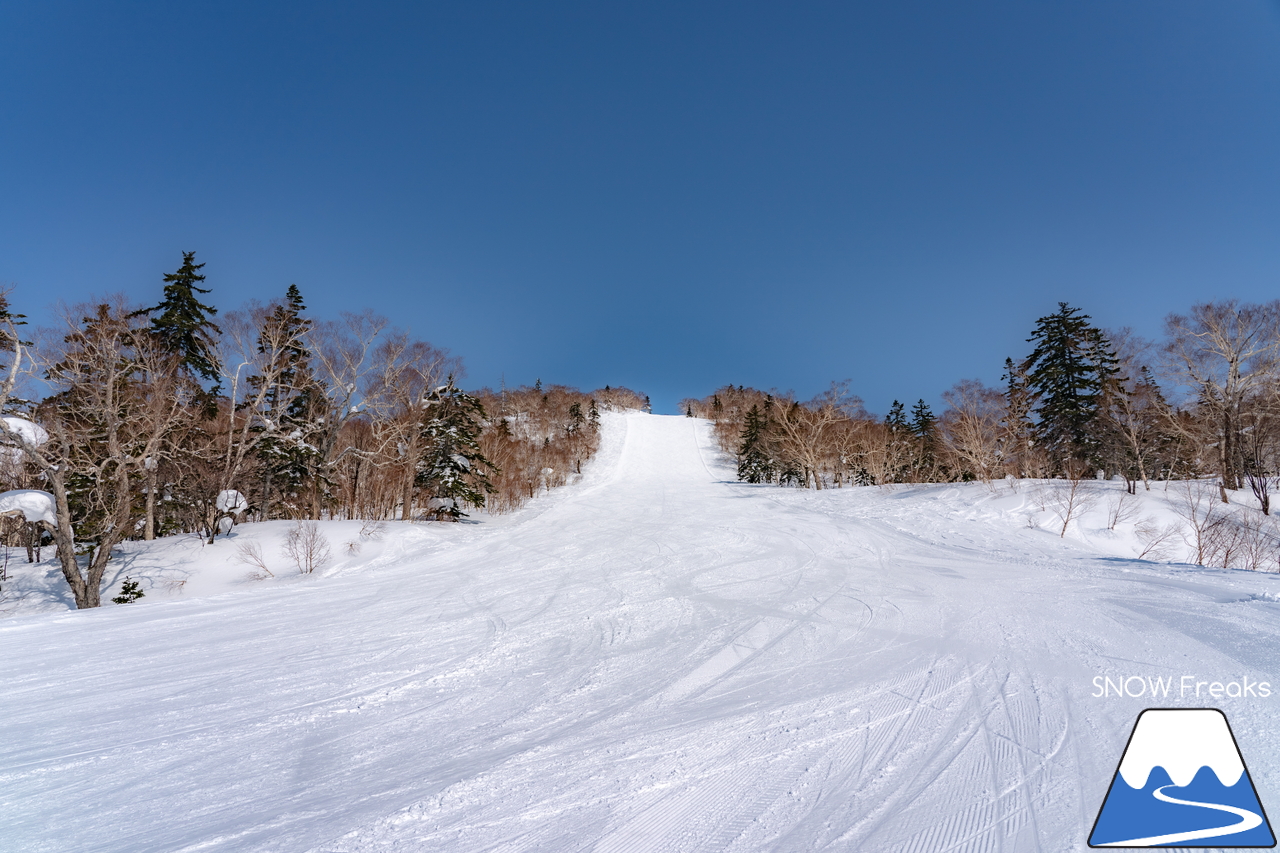 キロロリゾート｜まだまだ山頂は積雪４ｍ超！楽しい春スキー＆スノーボードシーズン到来です(^^)v